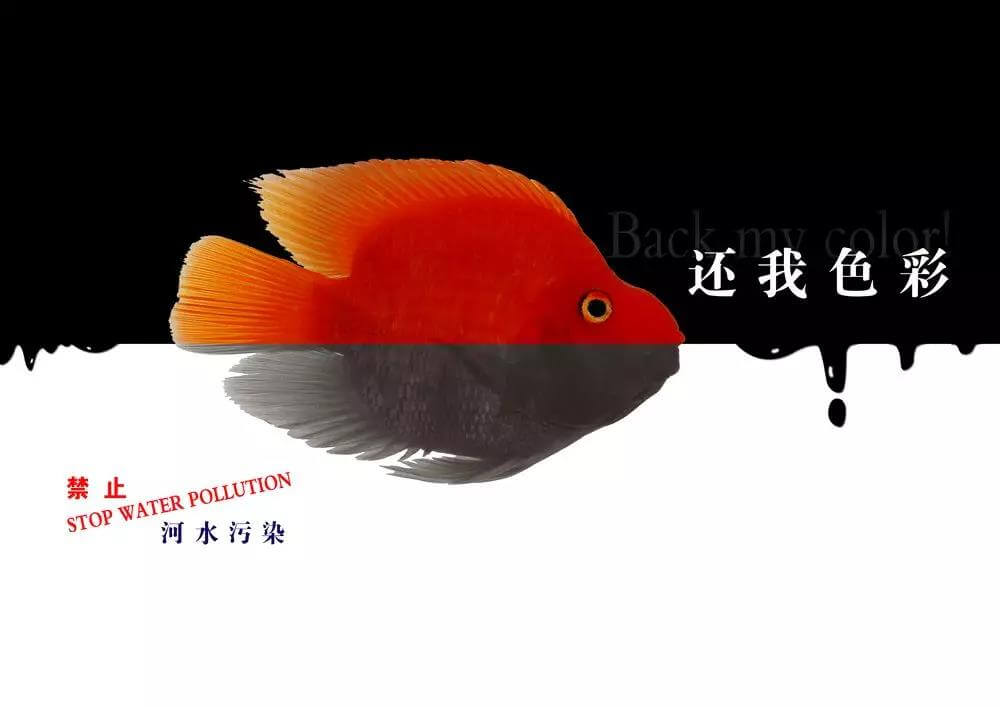 污水處理藥劑，污水處理，水處理